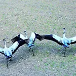 Appartement Unique View - 3pok, 4 Lozka, Widok Na Rzeke, Centrum, Netflix, Parking, Winda Iława