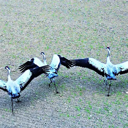 Appartamento Unique View - 3pok, 4 Lozka, Widok Na Rzeke, Centrum, Netflix, Parking, Winda Ilawa